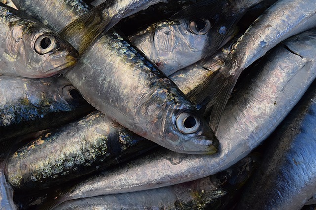 pescado anisakis en España
