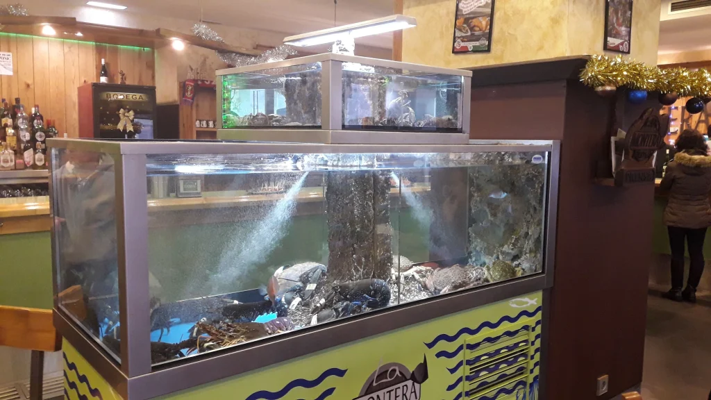 expositor para hostelería de 800L