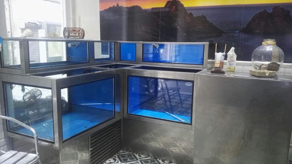 Sistemas de viveros para pescaderías_La proa
