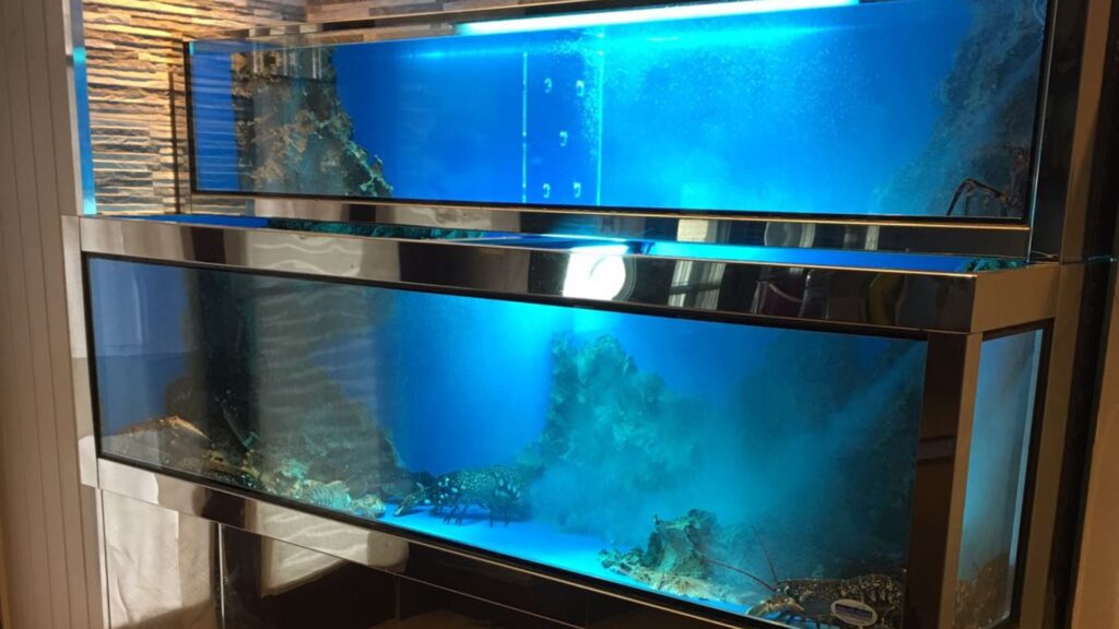 ¿Es rentable instalar un vivero de mariscos en mi negocio LAPROA