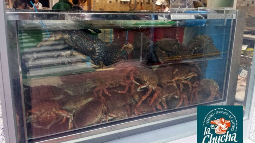 viveros de marisco para pescaderías que mejoran la confianza del cliente viveros para marisco LAPROA