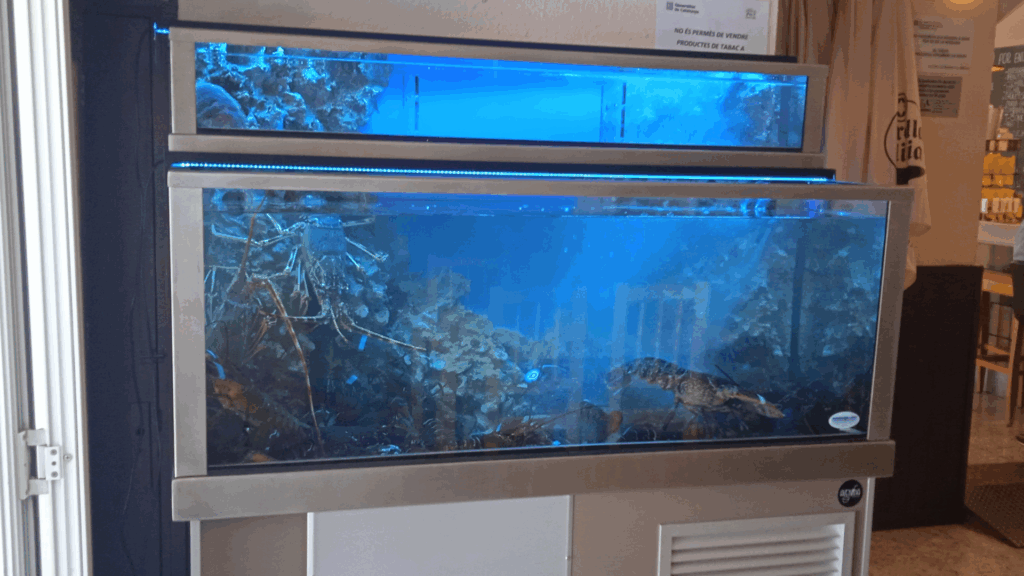 tecnología para mantener marisco fresco LAPROA