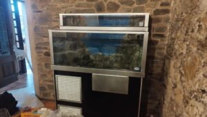 tecnología para mantener marisco fresco LAPROA