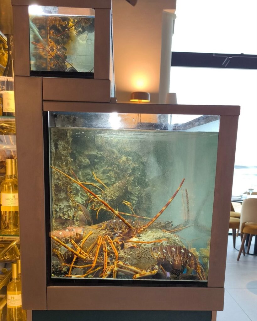 Vivero Estándar para restaurante en Donostia Laproa