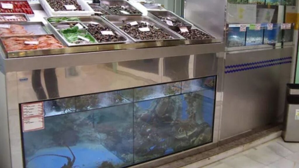 ventajas de instalar un vivero en tu pescadería la proa