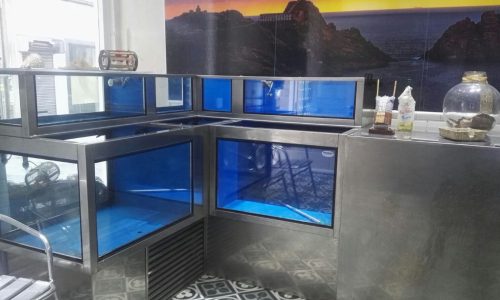 Sistemas de viveros para pescaderías_La proa