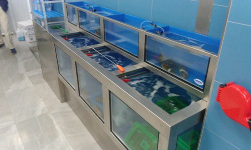 elegir vivero de mariscos para pescadería La proa