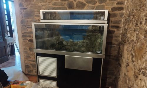 tecnología para mantener marisco fresco LAPROA