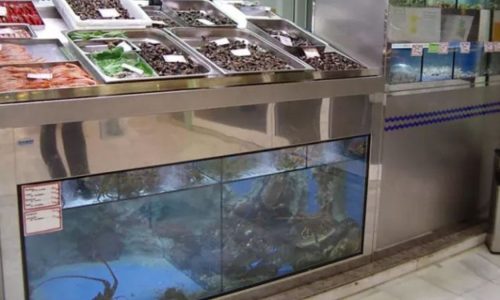 ventajas de instalar un vivero en tu pescadería la proa